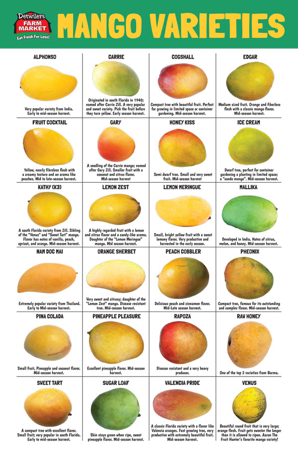 Detwiler’s Farm Market – Mangos Detwiler's Farm Market - Mangos