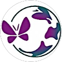 The Spirit University profile picture